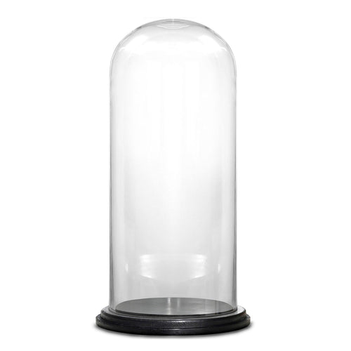 Clear Glass Cloche Dome with Black Wood Base D-7" H-15" - Pack of 4 PCS - Modern Vase and Gift