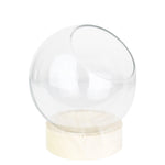 Clear Glass Slant Cut Bowl with Wood Base D- 7" H-8.5" - Pack of 6 PCS - Modern Vase and Gift