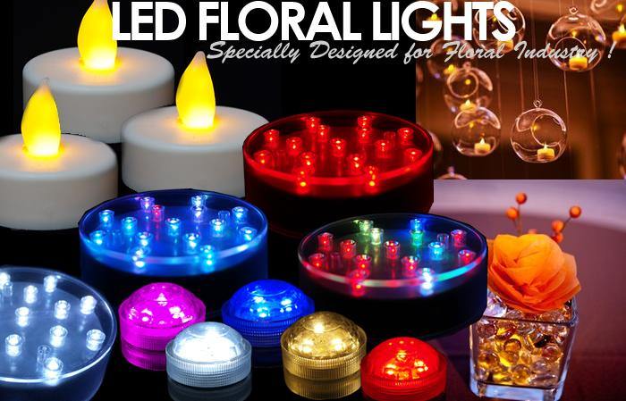 LED Lights - Modern Vase and Gift