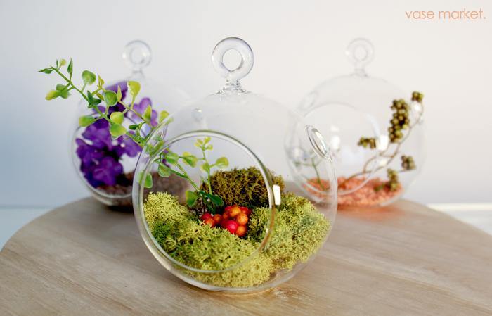 Plant Terrarium - Modern Vase and Gift
