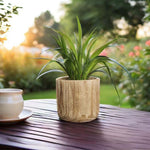 Studio WoodPlanter – Burnt Finish, 6.25" x 5.75", Pack of 12