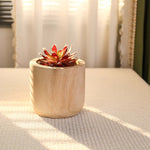 Studio WoodPlanter – Natural Finish, 6.25" x 5.75", Pack of 12