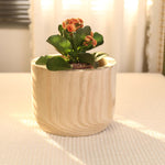 Studio WoodPlanter –  Natural Finish, 8.25" x 6.5", Pack of 6
