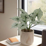 Studio WoodPlanter –  Natural Finish, 11" x 10.75", Pack of 4