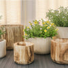 Studio WoodPlanter –  Burnt Finish, 8.25" x 6.5", Pack of 6