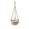 Hanging planter with rope on a white background