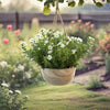 Natural Hanging Planter With Rustic Loop – 24.75"H x 10"D, Pack of 4