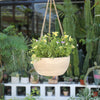 Hanging basket with flowers in a garden setting
