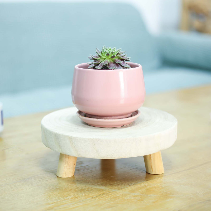 Pink ceramic planter with a succulent on a small wooden stand on a wooden table.