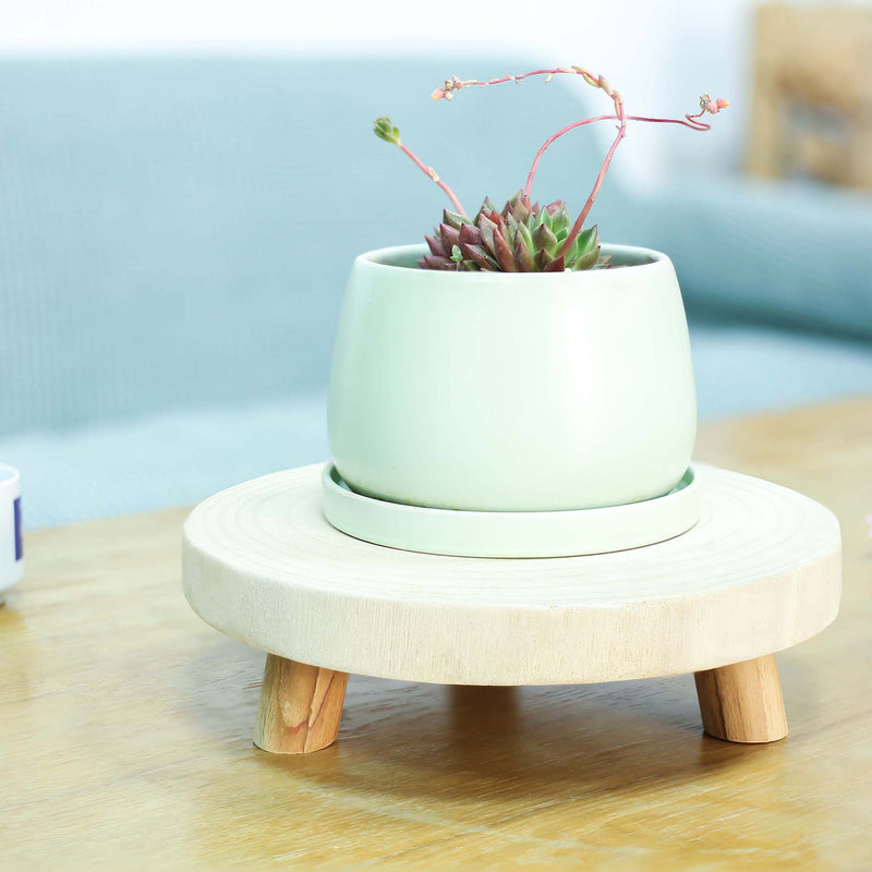 Green ceramic planter with succulents on a wooden stand against a light blue background