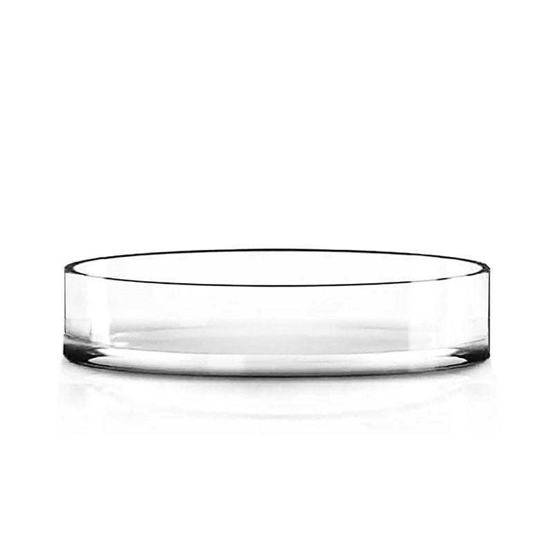 12 PCS Clear Glass Cylinder Vase D-8" H-1.5"