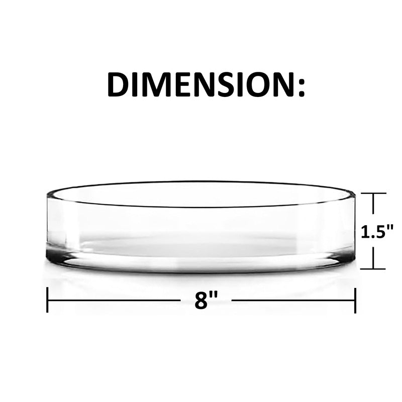 12 PCS Clear Glass Cylinder Vase D-8" H-1.5"
