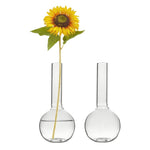 72 PCS Clear Glass Round Bottom Bud Vase H-5.5" W-2.5" Opening-0.81"