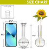 72 PCS Clear Glass Round Bottom Bud Vase H-5.5" W-2.5" Opening-0.81"