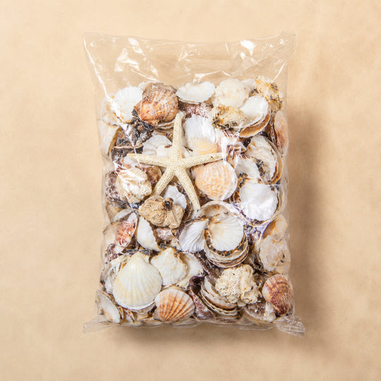 Vase Filler Mixed Color Shells (19.8 lbs/Case)