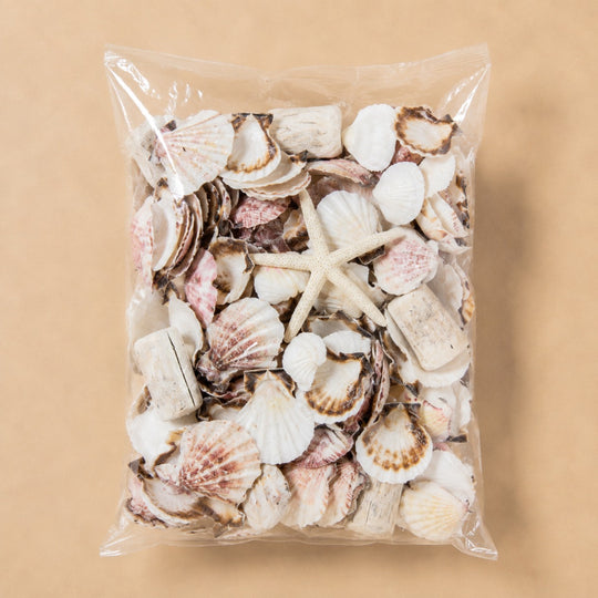Vase Filler Mixed White Shells (19.8 lbs/Case)