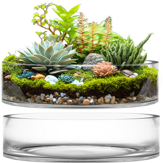 4 PCS Clear Glass Cylinder Vase D-16" H-4"