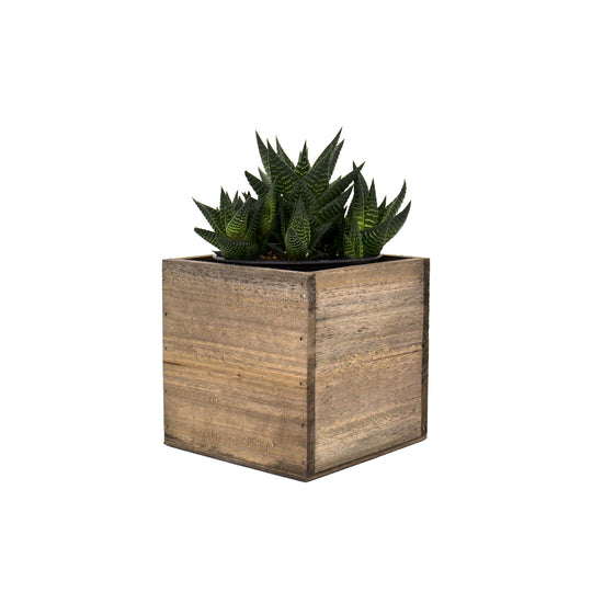 24 PCS Natural Wooden Cube Plant Box with Plastic Liner 5 Inches Each Side