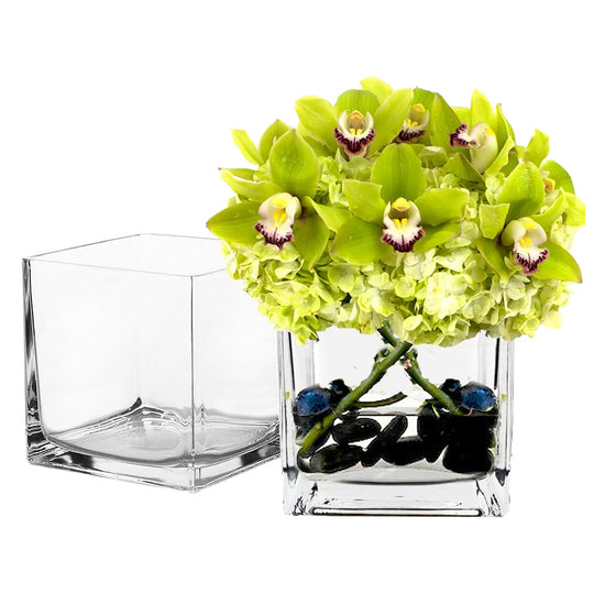6 PCS Clear Glass Cube Vase Sides-6"