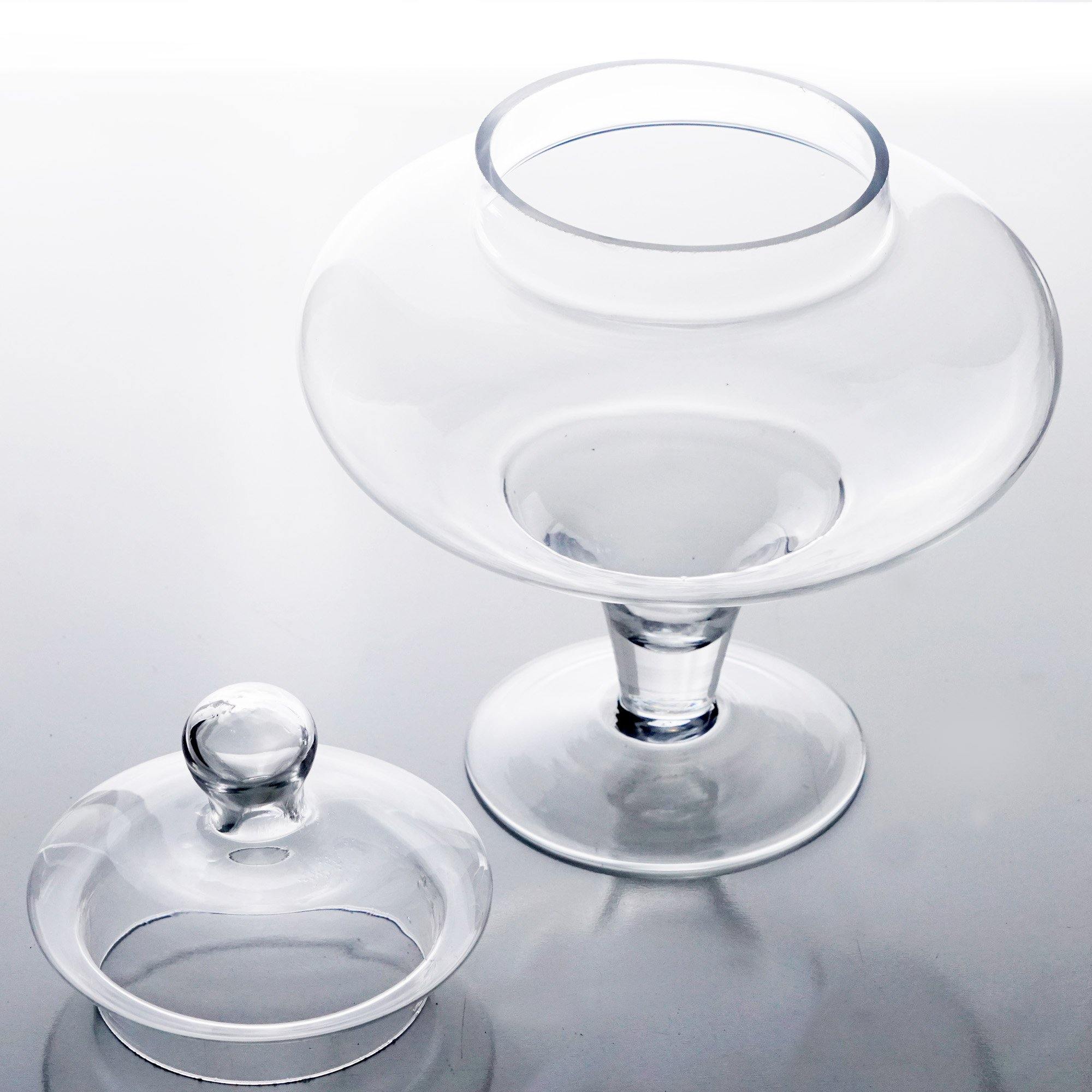 Pack of 2 PCS Clear Glass Apothecary Jar H-21.5 O-5.75 D-7.5 – Modern  Vase and Gift
