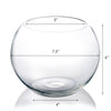 Clear Glass Bubble Bowl H-6" O-6" D-8" - Pack of 6 PCS - Modern Vase and Gift