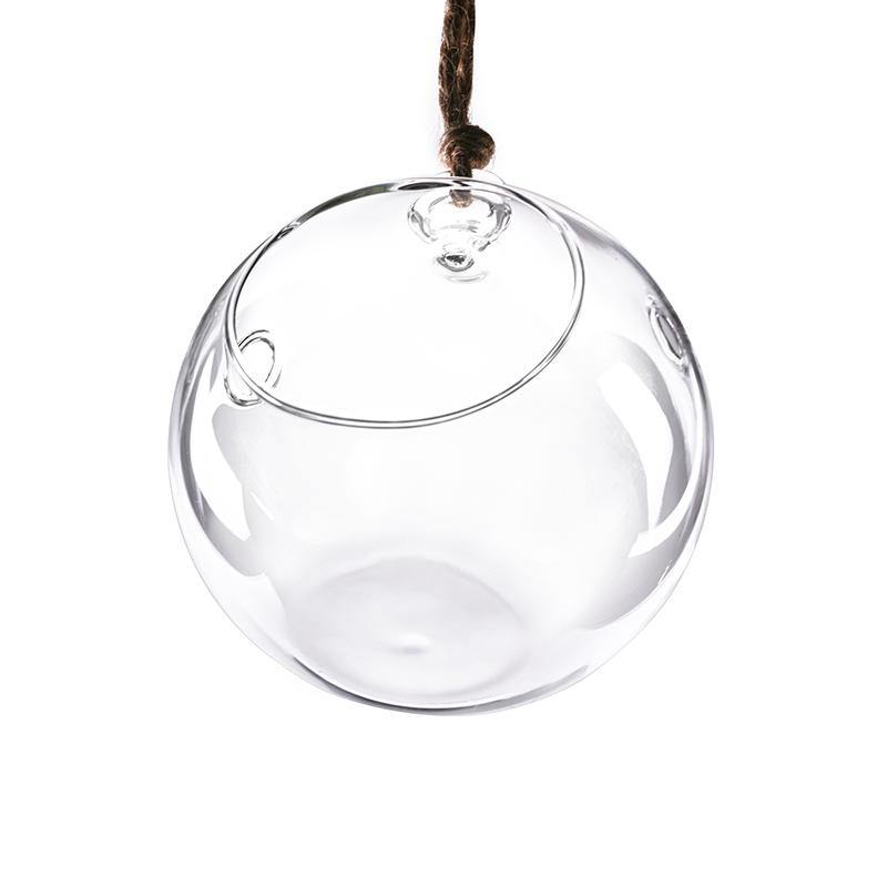 clear glass hanging planter CYS-Excel Glass Plant Terrarium Size: 3.5" H x 3" W x 3" D