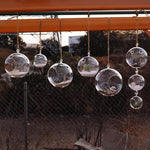 Clear Glass Hanging Orbs D-3" H-3.5" - Pack of 72 PCS - Modern Vase and Gift