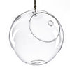 Clear Glass Hanging Orbs D-8" H-9" - Pack of 6 PCS - Modern Vase and Gift