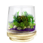 Clear Glass Taper Cylinder Vase with Wood O-4.5" H-6" - Pack of 6 PCS - Modern Vase and Gift