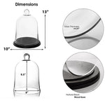 Clear Glass Cloche Bell Jar with Wood Base D-10" H-13" - Pack of 4 PCS - Modern Vase and Gift