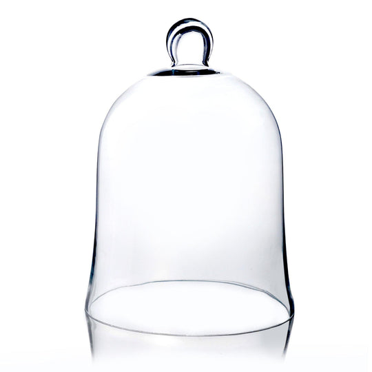 4 PCS Clear Glass Cloche Bell Jar D-8.5" H-12"