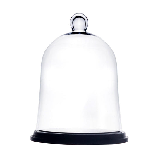 4 PCS Clear Glass Cloche Bell Jar with Wood Base D-10" H-13"