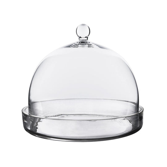 Pack of 2 PCS Clear Glass Cloche Bell Jar with Glass Plate D-10" H-8.5"