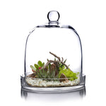 Clear Glass Cloche Bell Jar with Glass Plate D-8.75" H-11" - Pack of 2 PCS - Modern Vase and Gift