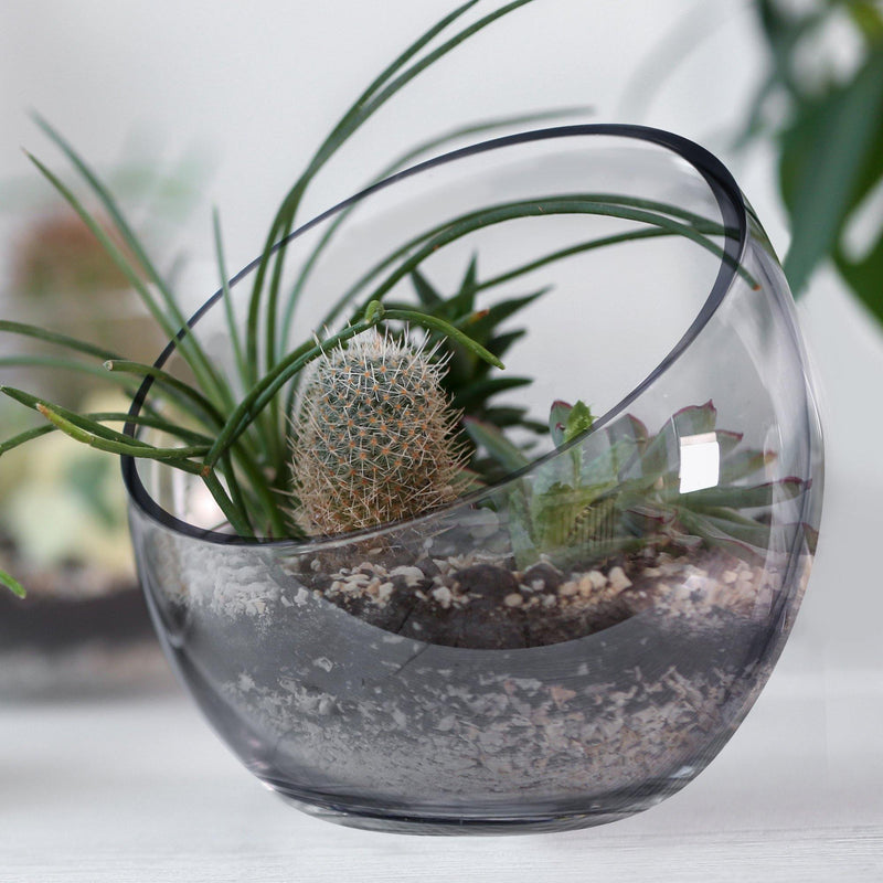 clear glass planter pot 4 PCS Clear Glass Slant Pod O-8.5" H-9" – Modern Vase and Gift