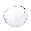 Clear Glass Slant Pod O-10" H-11" - Pack of 2 PCS - Modern Vase and Gift