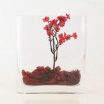 Clear Glass Thin Round Rectangle Vase O-7"X1.75" H-8" - Pack of 12 PCS - Modern Vase and Gift