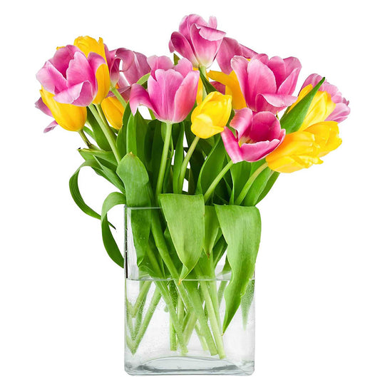 6 PCS Clear Glass Thin Oval Round Rectangle Vase O-7"X1.75" H-10"