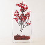 Clear Glass Thin Round Rectangle Vase O-7"X1.75" H-12" - Pack of 6 PCS - Modern Vase and Gift