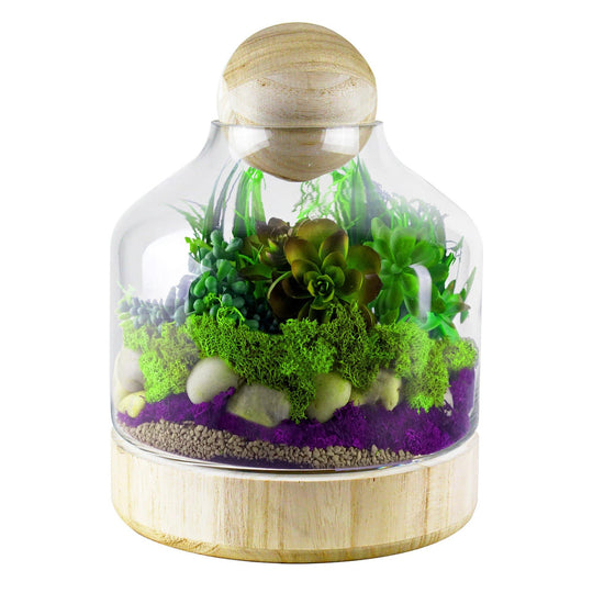 6 PCS Clear Glass Top Opening Dome with Wood Ball and Base D- 7" H-10"