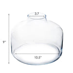 Clear Glass Top Opening Dome with Wood Ball D- 10.5" H-12" - Pack of 2 PCS - Modern Vase and Gift