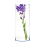 Clear Glass Cylinder Vase D-10" H-24" - Pack of 2 PCS - Modern Vase and Gift