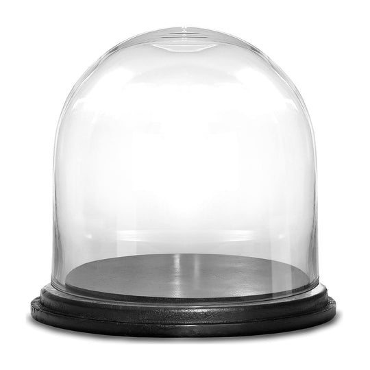 2 PCS Clear Glass Cloche Dome with Wood Base D-11" H-11"