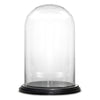 Clear Glass Cloche Dome with Black Wood Base D-11" H-16" - Pack of 1 PC - Modern Vase and Gift