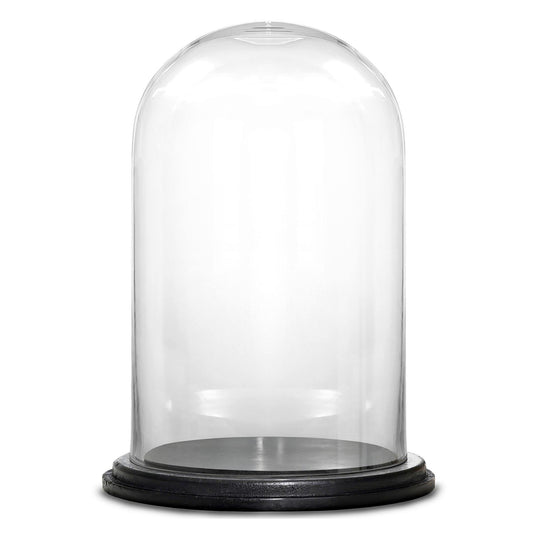 2 PCS Clear Glass Cloche Dome with Wood Base D-11" H-16"