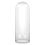Clear Glass Cloche Dome D-10" H-24" - Pack of 1 PC - Modern Vase and Gift