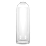 Clear Glass Cloche Dome D-10" H-28" - Pack of 1 PC - Modern Vase and Gift