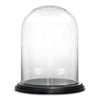 Clear Glass Cloche Dome with Black Wood Base D-13" H-16.5" - Pack of 1 PC - Modern Vase and Gift