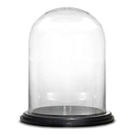 Clear Glass Cloche Dome with Black Wood Base D-13" H-16.5" - Pack of 1 PC - Modern Vase and Gift