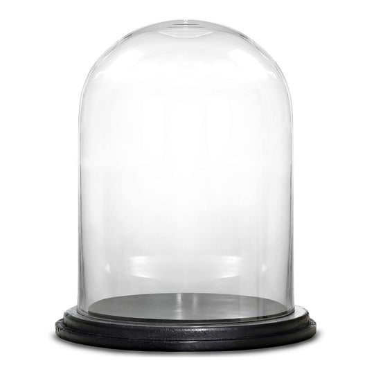 2 PCS Clear Glass Cloche Dome with Wood Base D-13" H-16.5"